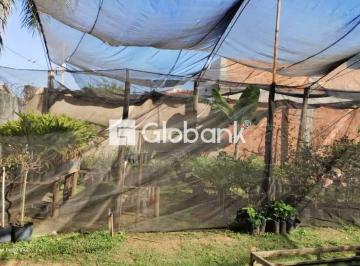 Photo 1 · Lote à venda em canelas com 275m²