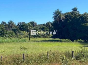 Photo 1 · Fazenda à venda em Nova Esperança com 93,78 Hectares.