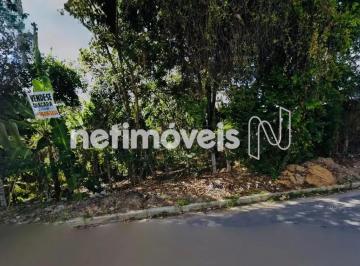 Photo 1 · Chácara à Venda em Ribeirão das Neves – 2.000 m²; Arborizados