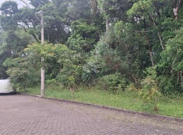 Terreno · 371m² · Terreno com 370,50 m2 em área arborizada residencial na serra gaúcha