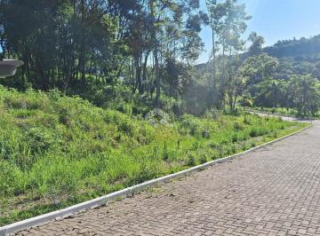 Terreno · 427m² · Terreno com 426,60 m2 em área arborizada na serra gaúcha