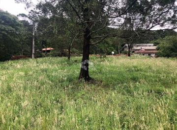 Terreno · 1109m² · Terreno no Bairro Pousada da Neve em Nova Petrópolis