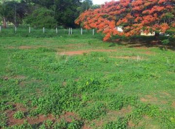 Rural · 1936000m² · 2 Quartos · 1 Vaga · FAZENDA DE 40 ALQUEIRES À VENDA EM MONTE ALEGRE DE GOIÁS – ESTRUTURA PARA PECUÁRIA