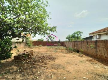 Foto 01 · Terreno - Parque Residencial Flamingo