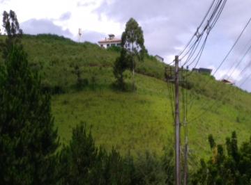 Foto 01 · Área de 33 mil metros quadrados encostada na área urbana de Maria da Fé, pronta para empreendimentos