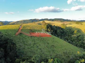 Terreno · 13600m² · TERRENO RURAL A VENDA EM TOLEDO MG 13600 METROS COM NASCENTE VISTA