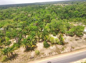 Imagem 1 · Sítio para venda em Manacapuru