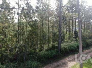 884f4e223c067c7a60f3bf70603953843399b14d · Terreno à venda, 500 m² por R$ 320.000,00 - Capricórnio II - Caraguatatuba/SP