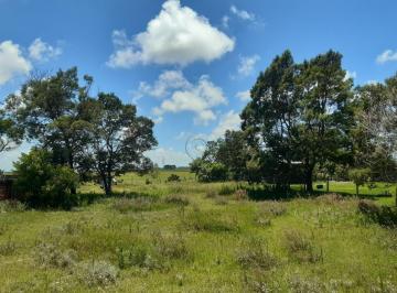 9692_i6Pc6L4I5DQ_96925fec8d1e524bc.jpg · Imoveis - Em Senandes
