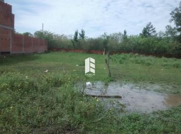 Terreno · 500m² · Terreno À Venda - Em Pinheiro Machado