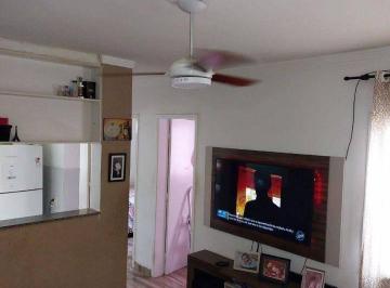 9f0ea9d6c502fed6090fc59b2c0d72fa.jpg · Apartamento Com 2 Dormitórios À Venda, 44 m² por R$170.000 - Cidade Satélite Íris - Campinas/sp