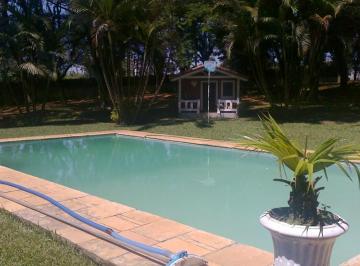 80889631.jpg · Rural - Ipelândia