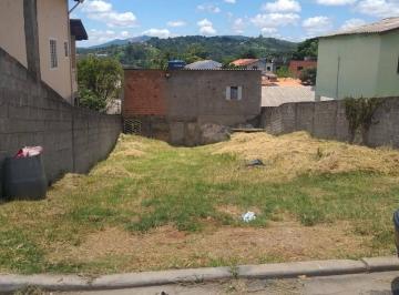 20241123T1130190300-633331345.jpg · Terreno Á Venda Em Terra Preta