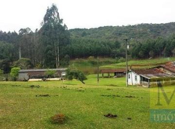 dGvL9N2nhPYtIiqD7col4KvwyiPdHszk.jpg · Sítio Com 2 Dormitórios À Venda, m² por R$7.000.000 - Areia Branca - Mandirituba/pr
