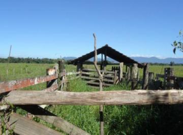 Foto 1 · Chácara - Santa Catarina