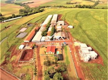 Rural · 145200m² · Sítio À Venda, Distrito Bom Principio, Toledo - Pr