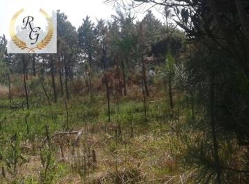 qyKNxf61Mpuh9sMiUudkd7MPXHLyOuBN.jpg · Terreno À Venda, 300 m² por R$65.000 - Centro - Tramandaí/rs