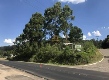 Terreno · 4800m² · Terreno À Venda, Operário - Barão/rs