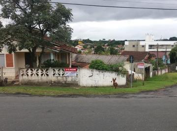 2020/01/108760371.jpg · Terreno - Tingui