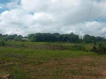 Foto 42 · Area, Campina Do Taquaral, São José Dos Pinhais, Pr