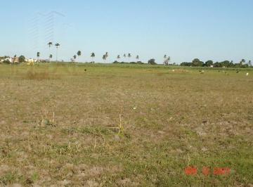 Terreno · 2520m² · Terreno Para Locação Em Parque Aurora L Estrada Do Carvão