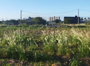 Terreno · 674m² · Terreno Em Vila Da Rainha - Campos Dos Goytacazes, Rj