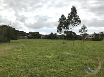 01 · Sítio/fazenda de 50083.2 m² No Bairro Vargem Grande