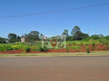 Terreno · 491m² · Terreno - Venda Em Foz Do Iguaçu - Pr - Centro Cívico