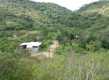 Rural , Guapimirim · Fazenda À Venda Em Vale Das Pedrinha
