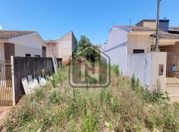 Foto 01 · Terreno - Bairro Brasmadeira