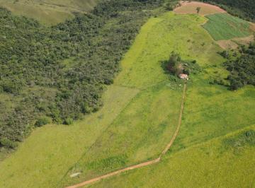 Foto 08 · Fazenda Com 62ha Em Campos Altos - Mg