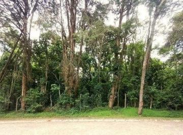 7mgiKWmCW9uImKSSUWm4c7A4q4JJcwW7.jpg · Terreno À Venda, 1688 m² por R$420.000 - Paisagem Renoir - Cotia/sp