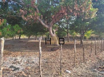 CxL8V0kC0LxFoxFNDOPLqnnXgpPc0Rny.jpg · Terreno À Venda, 250 m² por R$45.000 - Morro Branco - Beberibe/ce