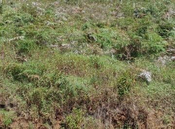 Terreno · 606m² · Terreno a Venda Na Fazenda Bela Vista
