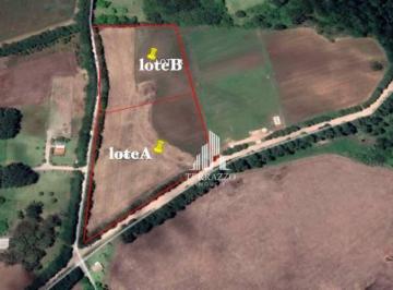 Vw2haZ1dz4AF4LpBckPrCS0xRVp5Hcz6.jpg · Área À Venda, 20045 m² por R$1.720.000 - Campo Largo Da Roseira - São José Dos Pinhais/pr