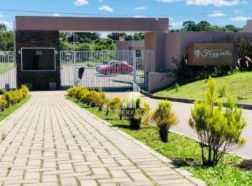 pEWugeupmeokUT8PrzVaaDXW0mIOIHGM.jpg · Terreno À Venda, 128 m² por R$205.000 - Costeira - São José Dos Pinhais/pr