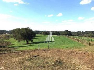 AW47T7xYDYR54Qrc2pIpg4j87q3chLCx.jpg · Área À Venda, 20000 m² por R$2.600.000 - Campo Largo Da Roseira - São José Dos Pinhais/pr