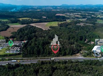 ZTmjXkSpsCP47uyry6qh1pNYj59E3Ijf.jpg · Área À Venda, m² por R$ - Miringuava - São José Dos Pinhais/pr