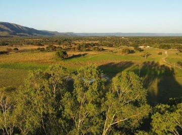 2023/05/ec85a480a924cc81d83cad8178e8dd02.jpg · Fazenda de Porteira Fechada 200 Hectares