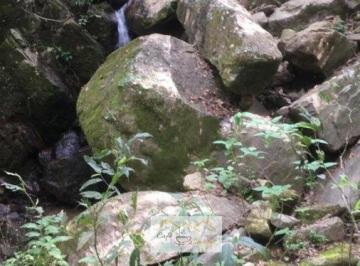 Rural · 20000m² · Sítio Para Venda Em Centro Cambuí - Mg