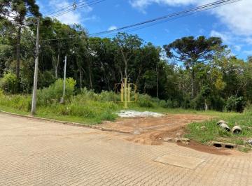 2023/07/37879ceef16fb16a9d034e241d2f71e2.jpg · Terreno Plano Em Bairro Nobre