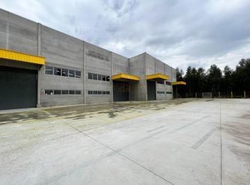 Comercial · 544m² · Pavilhão À Venda, Nova Sardenha - Farroupilha/rs
