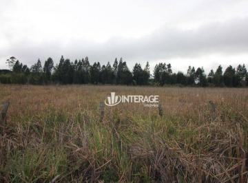 3hATz4r8cNfolKifb0vOruUg3NADriMw.jpg · Terreno À Venda, 12075 m² por R$299.000 - Jardim Primavera - Piraquara/pr