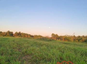 Foto 01 · Vendo Terreno Em Magalhaes Sentido a São Gonçalo Dos Campos