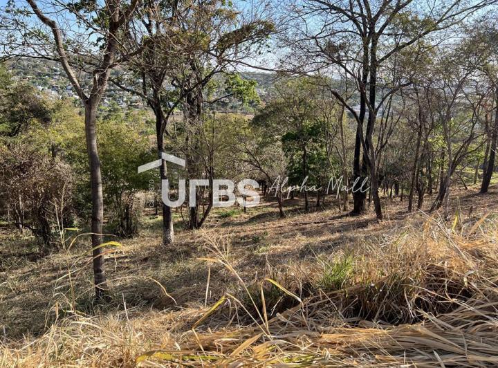 Imóveis com isolamento acústico à venda em Jardim Goiás, Goiânia, GO - ZAP  Imóveis