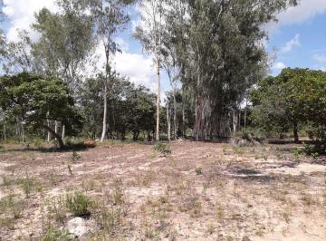 2023/09/1e8e7b167f7c1f2e2bc82b1acf62df6d.jpg · Rural - Poção