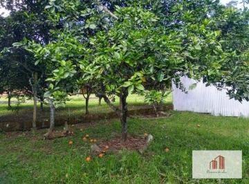 uFgJWRMgyMlV55rq6Yy4V8clI9cPcCac.jpg · Excelente Terreno Com Casa Na Lomba Do Pinheiro