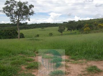 2024/01/4ede960914b4ef694dfac8ec888f36aa.jpg · Fazenda Em Cajuru 72 Alqueires Com Soja, Gado, Braquiária E Estrutura, 75 Km de Ribeirão Preto - Sp