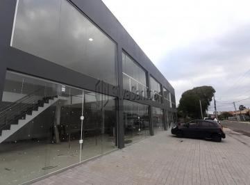 27248163_g.jpg · Imoveis - Na Zona Nova