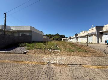 Foto 17 · Terreno À Venda No Centro de Feliz - Rs Com 704,88 m² de Área - Oportunidade Imperdível!